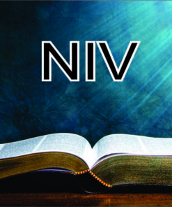 NIV