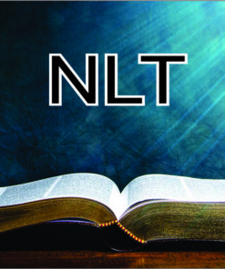 NLT