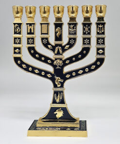 Menorah - Enamel 17.5cm - Blue