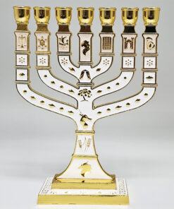 Menorah - Enamel 17.5cm - White