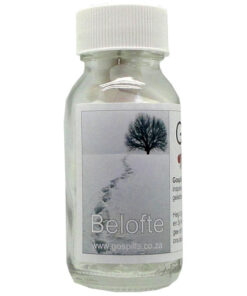 Gospills Afrikaans - Belofte