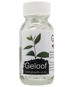 Gospills Afrikaans - Geloof