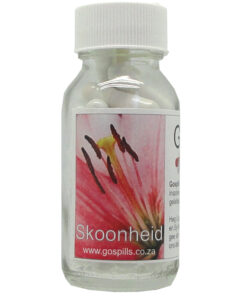 Gospills Afrikaans - Skoonheid