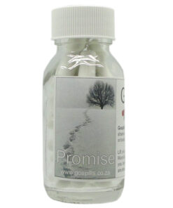 Gospills English - Promise