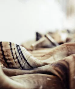 Shofars