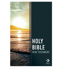 Bible - New Living Translation -  Outreach New Testament Bible