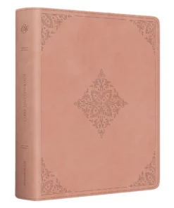 Bible - English Standard Version - Journaling Bible