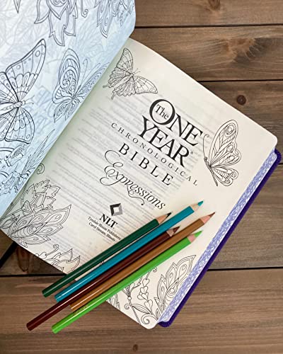 Bible - New Living Translation - One-Year Chronological Bible Expression - Image 6